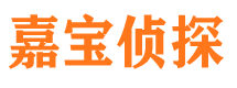 海港侦探公司